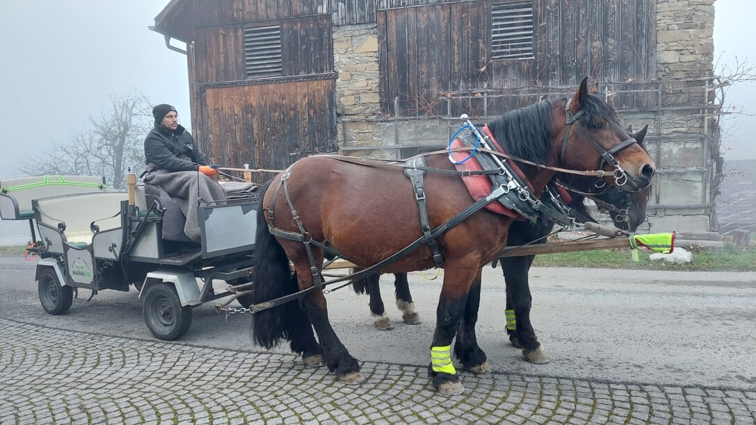 2025-12-14-Besinnliche-Adventfeier-Funkenzunft-Röns-19.59.43 (2).jpeg 2025-12-14-Besinnliche-Adventfeier-Funkenzunft-Röns-19.59.43 (2).jpeg