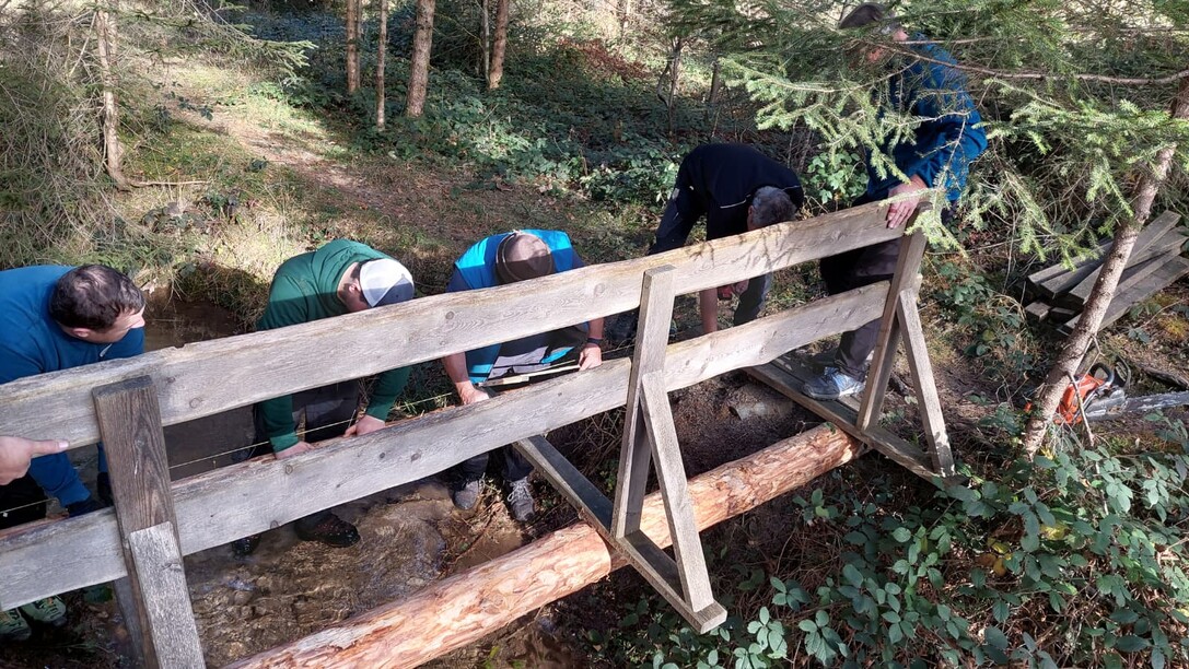 2025-11-15-FZR-Rönser-Weiher-Brückensanierung-14.10.44 (7).jpeg