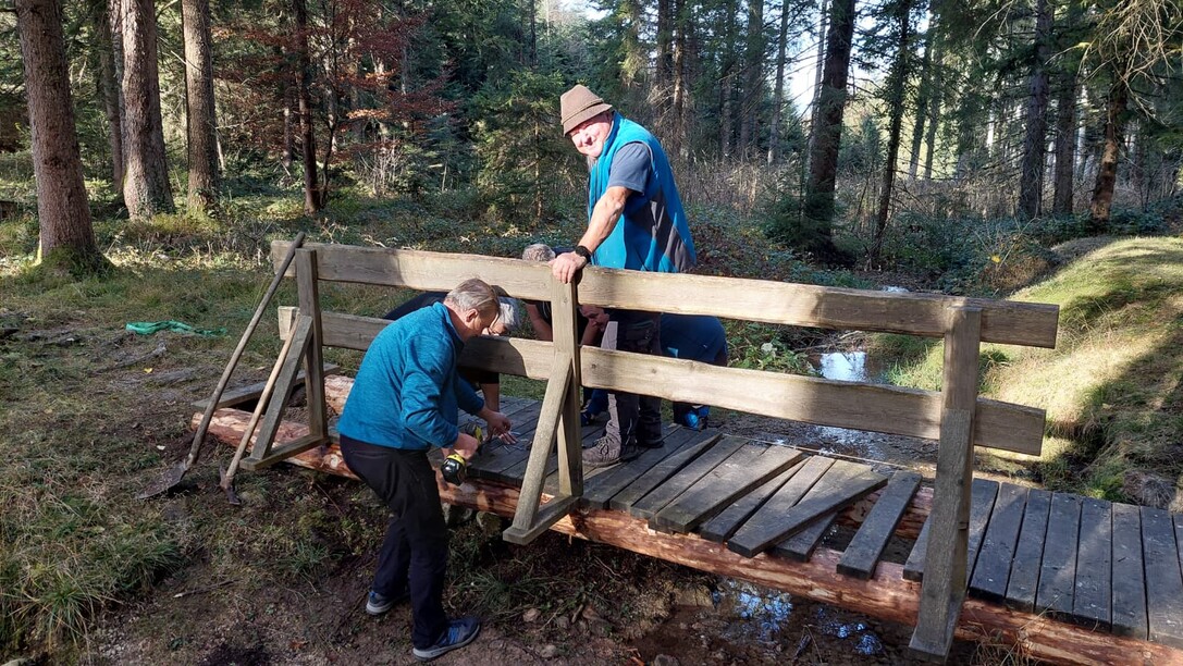 2025-11-15-FZR-Rönser-Weiher-Brückensanierung-14.10.45 (4).jpeg