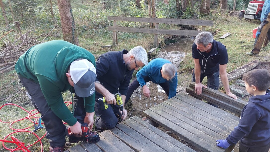 2025-11-15-FZR-Rönser-Weiher-Brückensanierung-14.10.46 (6).jpeg