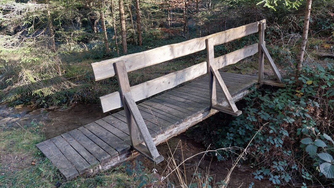 2025-11-15-FZR-Rönser-Weiher-Brückensanierung-14.10.46 (7).jpeg