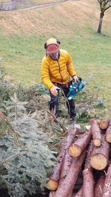 21-2026-02-20+21-FZR-Funkenaufbau-Sägen.jpeg 21-2026-02-20+21-FZR-Funkenaufbau-Sägen.jpeg