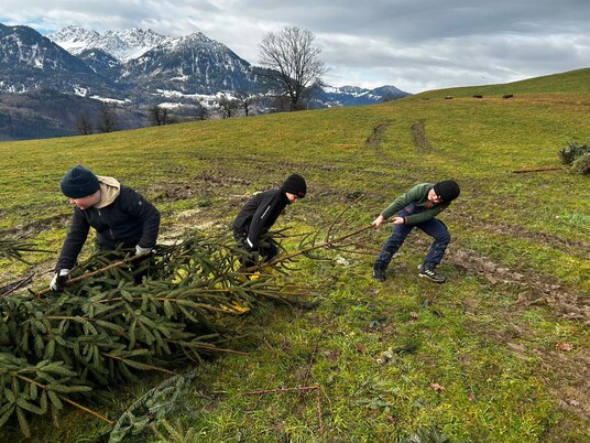 2026-02-20+21-FZR-Funkenaufbau-16.56.03.jpeg 2026-02-20+21-FZR-Funkenaufbau-16.56.03.jpeg